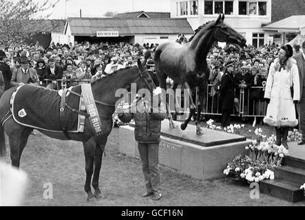 La princesse royale admire la statue de bronze grandeur nature de Philip Blacker du triple Grand National gagnant Red Rum, tandis que le cheval de 23 ans est conduit pour voir sa réplique à Aintree, Liverpool. La princesse a dévoilé le bronze avant le début du 150e anniversaire du Grand National de Seagram. Banque D'Images