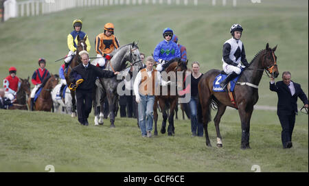 Les chevaux sont palandés sur la piste avant que le Rabbo Bank Champion ne s'haie pendant le Punchestown Festival à Punchestown Racecourse, Dublin, Irlande. Banque D'Images