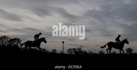 Chevaux qui vont poster pendant que la lumière s'estompe pendant le Punchestown Festival à Punchestown Racecourse, Dublin, Irlande. Banque D'Images