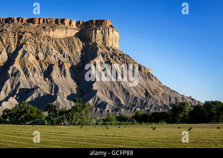 Champ de foin vert vif avec le tracteur et bottes de foin sous un escarpement dominant mesa et baignée de soleil de l'après-midi avec un ciel bleu clair Banque D'Images
