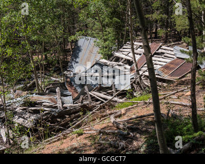 Vestiges de l'usine, ancien moulin, Staunton Site State Park, le pin, le Colorado. Banque D'Images