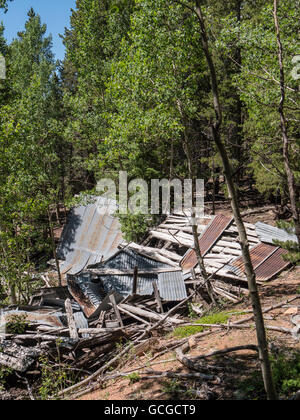 Vestiges de l'usine, ancien moulin, Staunton Site State Park, le pin, le Colorado. Banque D'Images