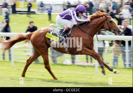 Courses hippiques - Dante Festival 2010 - deuxième jour - York Racecourse.Cape Blanco et Johnny Murtagh remportent les enjeux du totesport Dante au cours du deuxième jour du Dante Festival à l'hippodrome de York. Banque D'Images