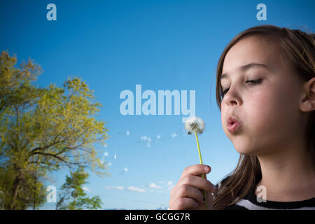 Onze ans, fille de faire un souhait tout en soufflant les graines de pissenlit. Banque D'Images