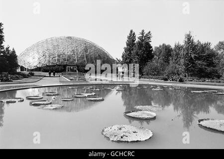 L'Climatron, serre Jardin Botanique du Missouri à St Louis, montré ici en 1964. Banque D'Images