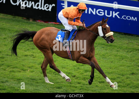 Les courses de chevaux - Hilary Needler Trophy nuit - Beverley Racecourse Banque D'Images