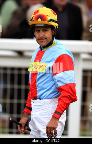 Courses hippiques - Hilary Needler Trophy Night - Beverley Racecourse. Darryll Hollande, jockey Banque D'Images