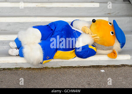 Courses hippiques - Lingfield Racing and Music Night - Lingfield Park Racecourse.AFC Wimbledon mascotte Haydon le Womble fait une pause après la course de mascotte Banque D'Images