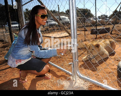 Chantelle Tagoe (partenaire d'Emile Heskey) pose avec un lion lors d'une visite à l'expérience Cheetah à Bloemfontein, Afrique du Sud. Banque D'Images