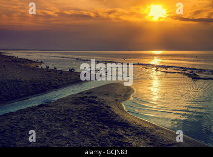 Tôt le matin, lever du soleil sur la plage. Delta de la rivière au bord de la mer Banque D'Images