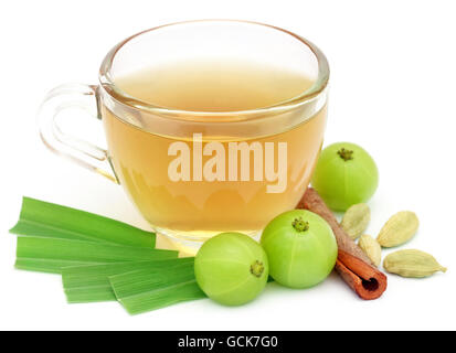 Tisane dans une tasse avec différentes herbes over white background Banque D'Images