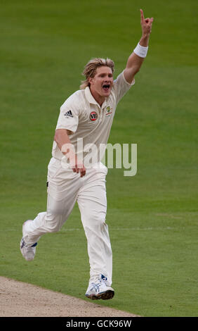 Shane Watson, un australien, célèbre le rejet d'Azhar Ali au Pakistan lors du deuxième match d'essai au terrain de cricket de Headingley, à Leeds. Banque D'Images