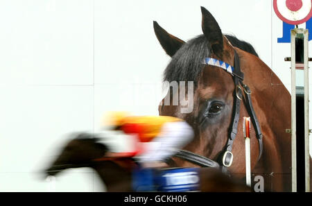 Snow Fairy sous le jockey Ryan Moore traverse la ligne d'arrivée pour gagner le Darley Irish Oaks à l'Hippodrome de Curragh. Banque D'Images