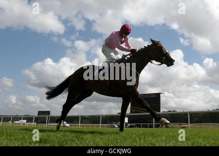 Courses hippiques - Festival d'été de Dubaï - Rose Bowl Stakes Day - Hippodrome de Newbury.Sir Reginald est monté par le jockey Kieron Fallon pendant les piquets du Rose Bowl - parrainé par Compton Beauchamp Estates Ltd Banque D'Images