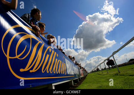 Courses hippiques, champ de courses de Ripon. Panneaux William Hill à l'hippodrome de Ripon Banque D'Images