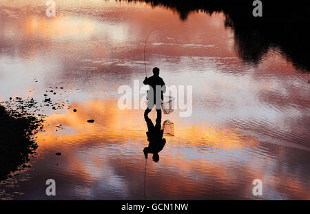 Un pêcheur solitaire tente sa chance d'attraper quelques truites dans le cadre tranquille de la rivière Coquet près de Rothbury, Northumberland, au coucher du soleil hier soir. Banque D'Images