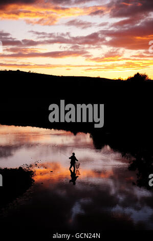 Un pêcheur solitaire tente sa chance d'attraper quelques truites dans le cadre tranquille de la rivière Coquet près de Rothbury, Northumberland, au coucher du soleil hier soir. Banque D'Images