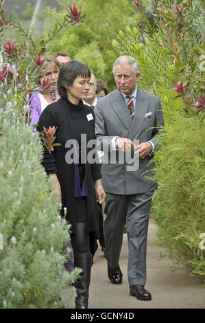 Le prince de Galles se promène dans la verdure de la grande Glasshouse dans les jardins botaniques nationaux du pays de Galles à Carmarthen alors qu'il poursuit sa tournée en Grande-Bretagne pour promouvoir son initiative de vie durable. Banque D'Images