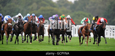 Courses hippiques - quatrième Festival annuel de la bière de la CAMRA - première journée - Hippodrome d'Ascot. Coureurs dans les piquets de handicap international DJP Banque D'Images