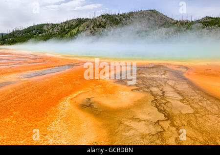 Les modèles colorés dans les algues et les bactéries couches du Grand Prismatic Spring, le Parc National de Yellowstone Banque D'Images