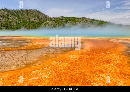 Les modèles colorés dans les algues et les bactéries couches du Grand Prismatic Spring, le Parc National de Yellowstone Banque D'Images