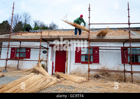 Un toit de chaume chalet à Ardara, comté de Donegal, Irleand Banque D'Images