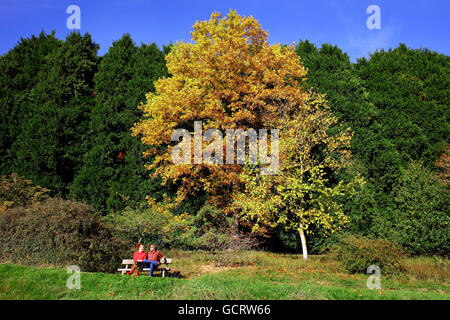 Les visiteurs apprécient le soleil d'automne matinal au Pinetum national et forêt de Bedgebury, dans le Kent. Banque D'Images