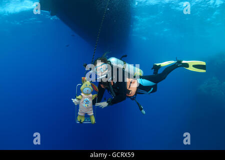 Plongeur femelle à côté de la poupée sur la butée de sécurité dans l'eau bleue, Red Sea, Egypt, Africa Banque D'Images