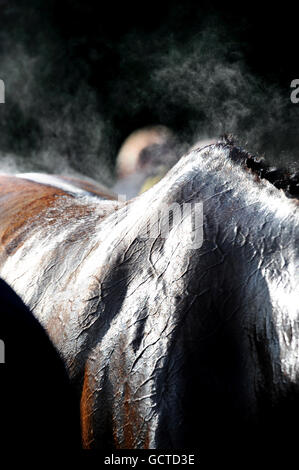 Les courses de chevaux - Weatherbys Jump Réunion - Kempton Park Banque D'Images