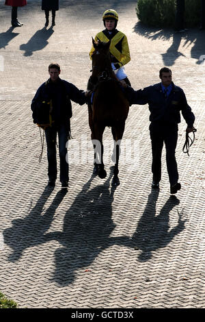 Les courses de chevaux - Weatherbys Jump Réunion - Kempton Park Banque D'Images