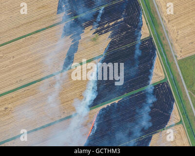 La combustion de la paille dans les champs de blé après la récolte Banque D'Images