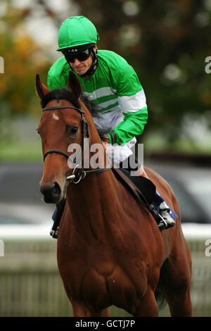 Courses hippiques - week-end d'automne - Hippodrome de Newmarket. JJinky est monté par le jockey Richard Hughes Banque D'Images