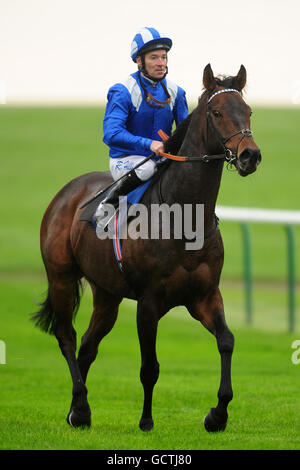 Courses hippiques - week-end d'automne - Hippodrome de Newmarket. Tazeez monté par le jockey Richard Hills Banque D'Images