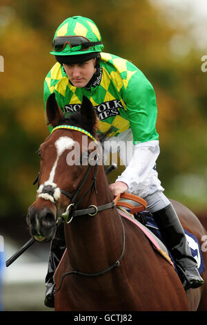 Courses hippiques - week-end d'automne - Hippodrome de Newmarket. J'aime à travers le jockey Tom Queally Banque D'Images