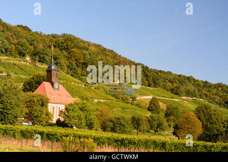 Dans l'Église Vineyard de Dresde et de vignobles Pillnitz Allemagne, Saxe Banque D'Images