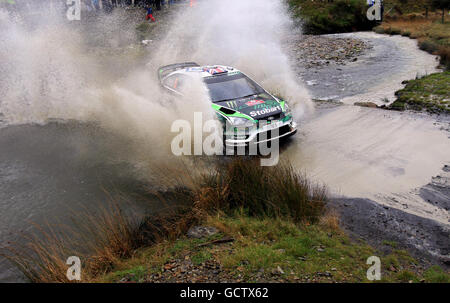 Matthew Wilson en Grande-Bretagne dans le Ford Focus RS WRC 08 pendant la phase spéciale de Sweet Lamb du Wales Rally GB 2010 près de Llangurig. Banque D'Images