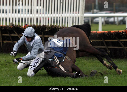 Barry Geraghty et Line Freedom tombent pendant la E.b.F. L'obstacle « National Hunt » novices de Mares à l'hippodrome de Newbury, Berkshire. Banque D'Images