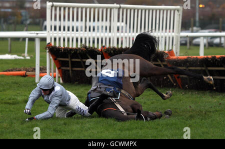 Barry Geraghty et Line Freedom tombent pendant la E.b.F. L'obstacle « National Hunt » novices de Mares à l'hippodrome de Newbury, Berkshire. Banque D'Images