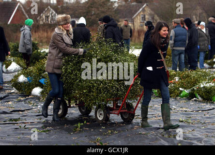 Kate Vogel (à gauche) d'Oswestry aidé par son ami Victoria Gillmon, rassemble le GUI à la vente aux enchères de Tenfbury Mistletoe et Holly pour son mariage le samedi. Banque D'Images