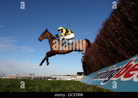 Les courses de chevaux - Le Festival d'hiver - Gentlemen's Day - Newbury Banque D'Images