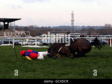 Hey Big Spender, monté par Aidan Coleman, tombe dans la Hennessy Gold Cup à l'hippodrome de Newbury, Berkshire. Banque D'Images