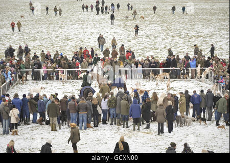 Les gens se rassemblent pour voir des chevaux et des monticules au départ proposé à Worcester Lodge, Didmarton, dans le Gloucestershire pour la chasse du duc de Beaufort qui a été annulée en raison du temps froid et des conditions de terrain dur. Banque D'Images