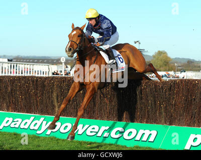 La Course de Chevaux Gold Cup - Paddy Power Day - l'Hippodrome de Cheltenham Banque D'Images