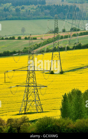 Pylônes d'électricité dans la campagne debout dans un champ de colza jaune dans le Wiltshire. Banque D'Images