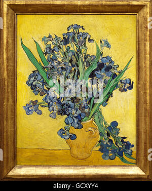 Vincent van Gogh, Irisses, Nature morte avec Iris, 1890, Musée Van Gogh, Amsterdam, Hollande, Pays-Bas, Europe Banque D'Images