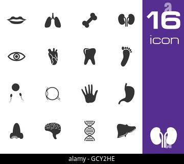 Anatomie noir Vector icons set Illustration de Vecteur