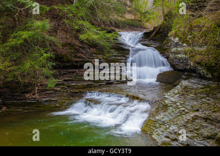 Petites chutes sur Enfield Creek dans la région de Robert H. Treman State Park dans la ville d'Ithaca, dans la région des lacs Finger de l'État de New York Banque D'Images