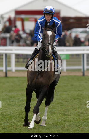 Courses hippiques - Hippodrome de Cheltenham.Le jockey Sam Twiston-Davies sur Little Josh va à la poste dans le vote A.P.Coupe d'or Banque D'Images