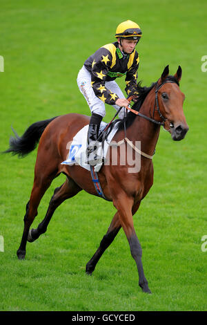 Les courses de chevaux - Deuxième réunion d'octobre - Hippodrome de Leicester Banque D'Images