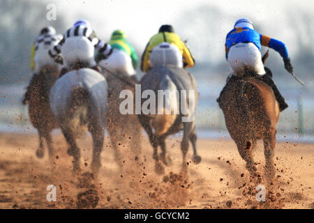 Les courses de chevaux - Southwell Racecourse Banque D'Images